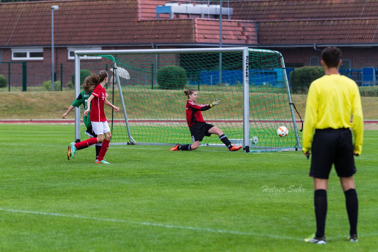 Bild 67 - C-Juniorinnen Landesmeister Finale SV Wahlstedt - TuRa Meldorf : Ergebnis: 1:4